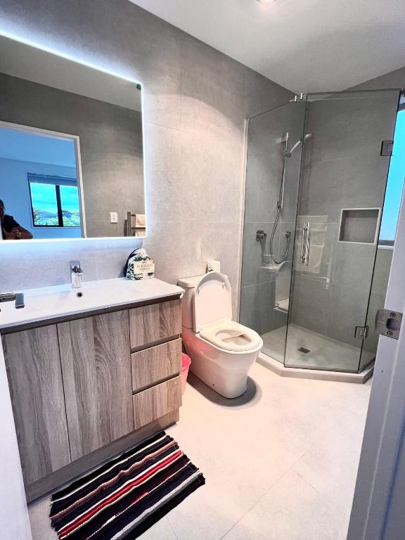 New town house room in Green lane - Resim 14