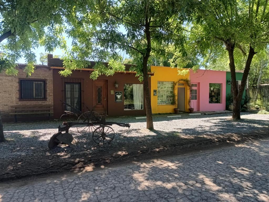 Oveja negra