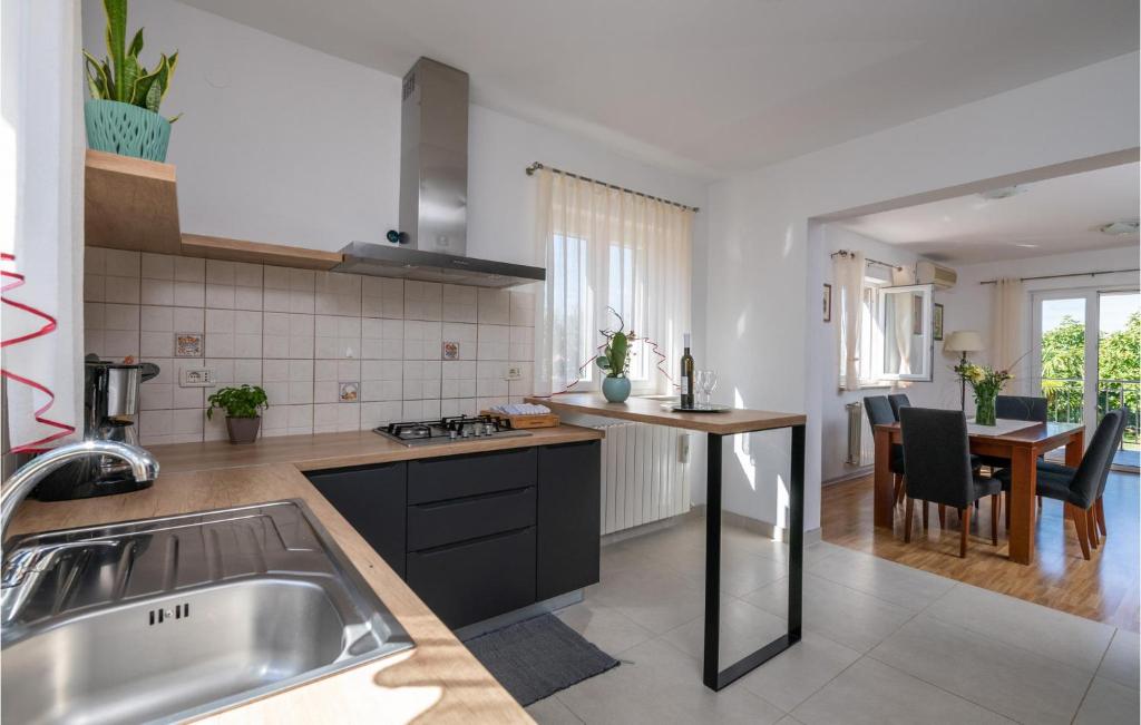 kuchnia ze zlewem i stołem z krzesłami w obiekcie Holiday Home Breg Ivanovci Iv w mieście Raša