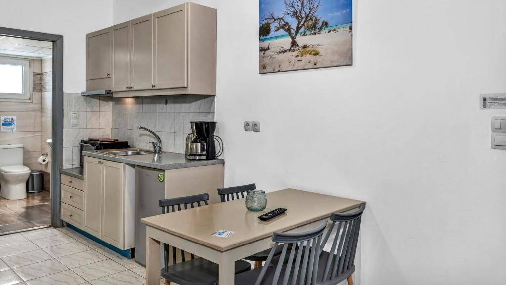 Kuchyň nebo kuchyňský kout v ubytování Erato Hotel