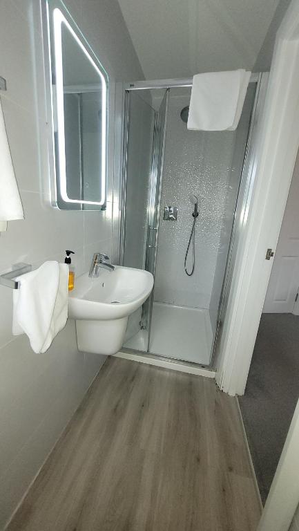 a bathroom with a shower and a sink at Murphy's Pub and Bed & Breakfast in Dingle