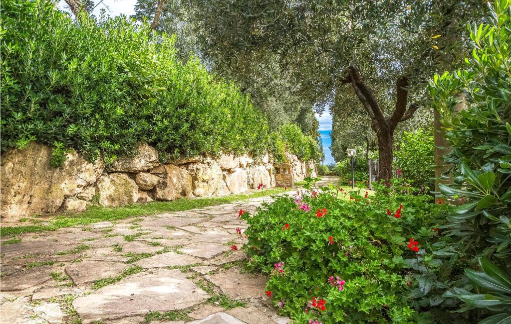 A garden outside Rossini