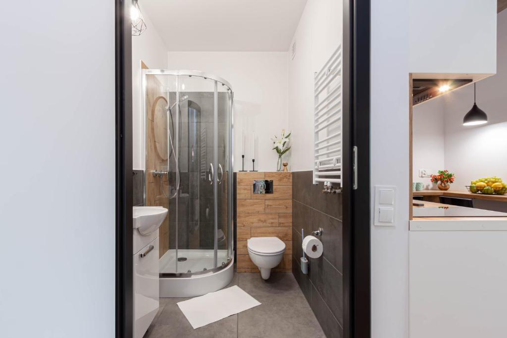 Apartamenty Silver Place - Resim 24