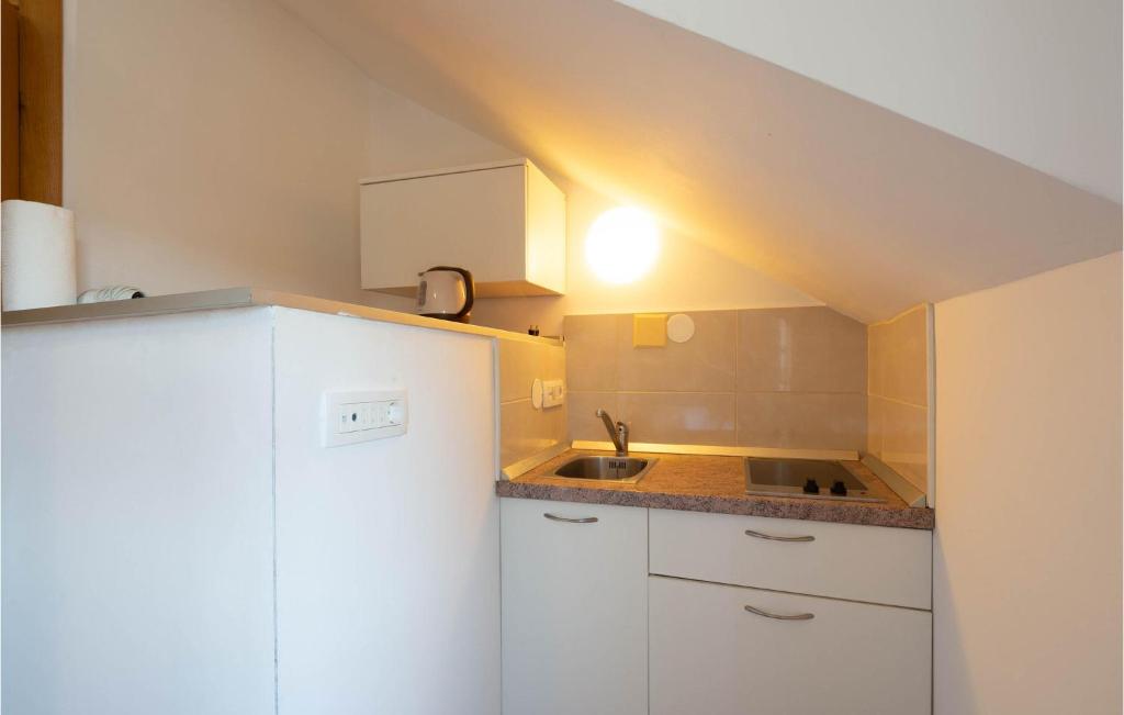 Kuchyňa alebo kuchynka v ubytovaní Beautiful Home In Split With Kitchen