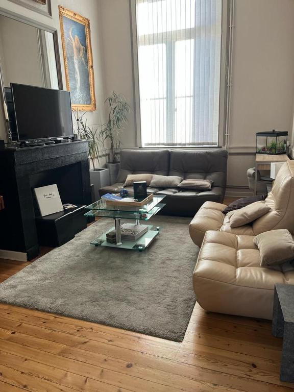 un salon avec un canapé et une table basse dans l'établissement Maison arrageoise authentique, entre ville et parc, à Arras