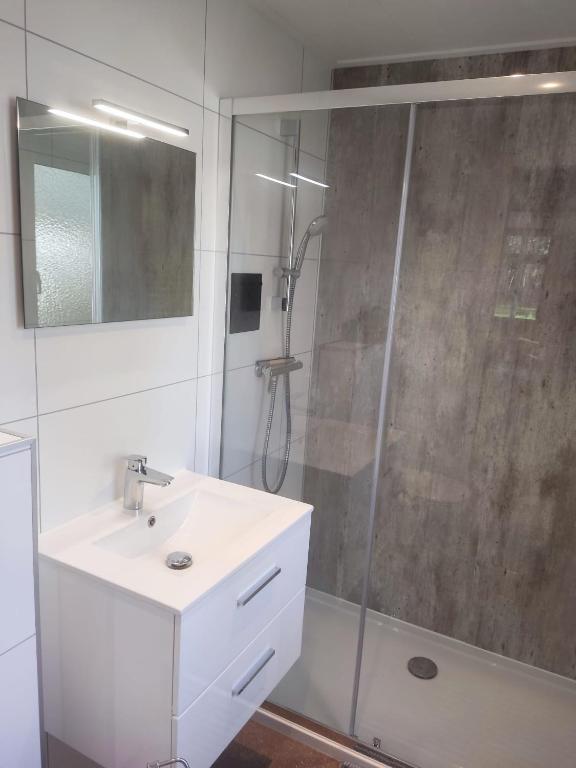 Koupelna v ubytování Natuurchalet Hellendoorn met Hottube!