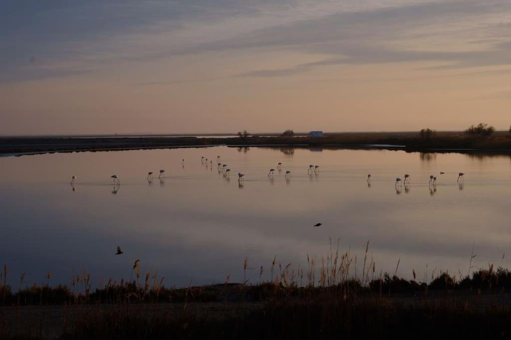 Photo de la galerie de l'établissement Face aux flamants, grande maison de famille, à Saintes-Maries-de-la-Mer