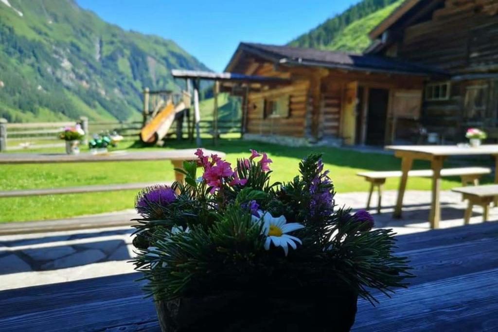 Výhľad na hory alebo výhľad na hory priamo z apartmánu
