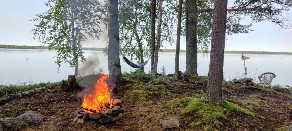 un foyer dans l'herbe à côté d'un lac dans l'établissement Traditional Finnish lakeside off-grid cabin, à Joensuu