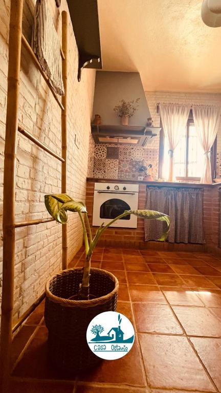 Kuchyň nebo kuchyňský kout v ubytování Casa Octavio