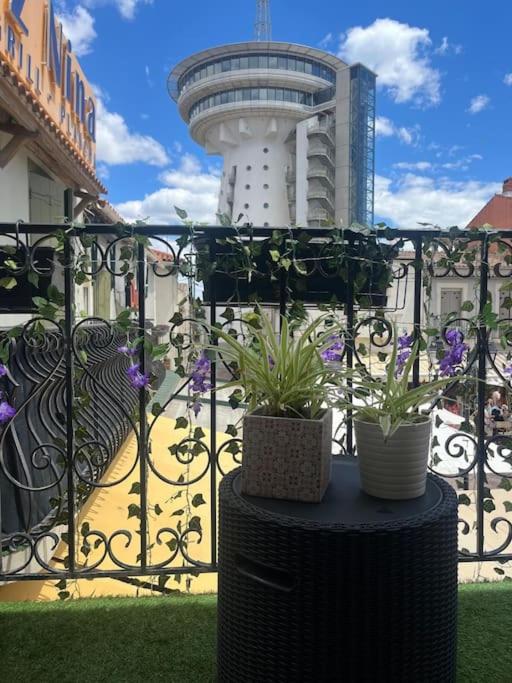 deux plantes en pot assises au-dessus d'une clôture de fer dans l'établissement jolie maison de pêcheurs, à Palavas-les-Flots