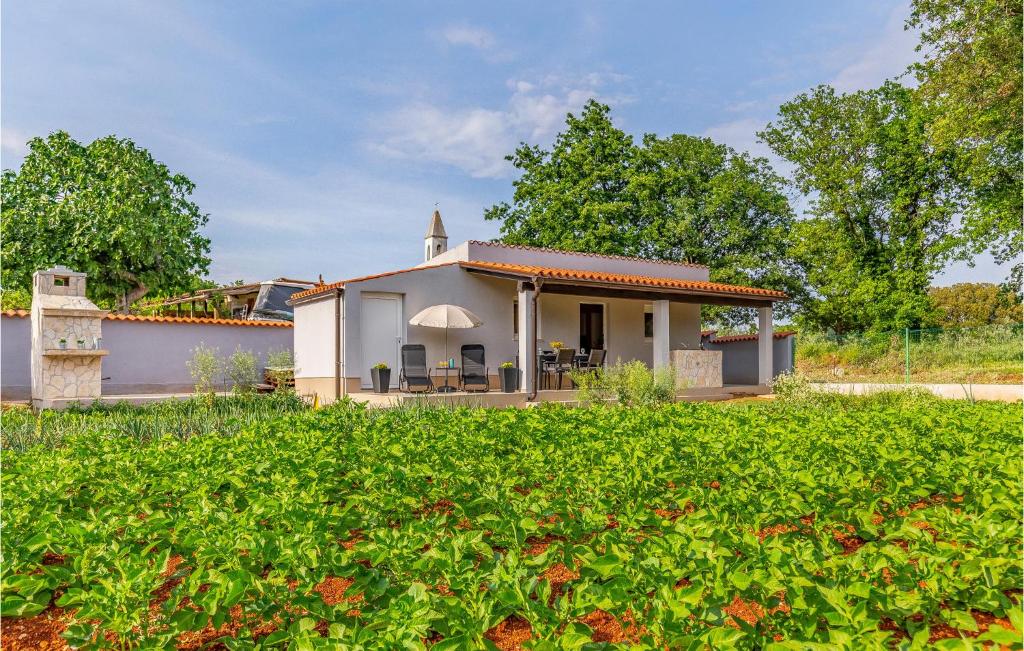 1 Bedroom Pet Friendly Home In Medulin