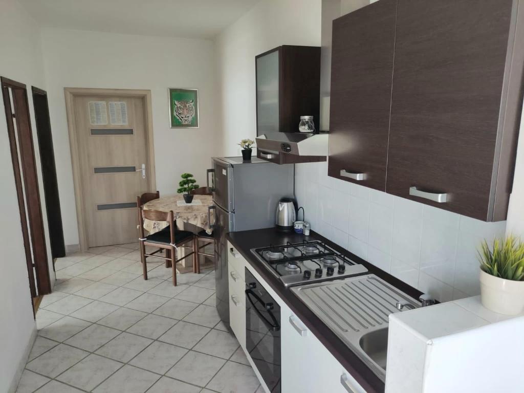 Kuchyň nebo kuchyňský kout v ubytování Apartments by the sea Metajna, Pag - 6395