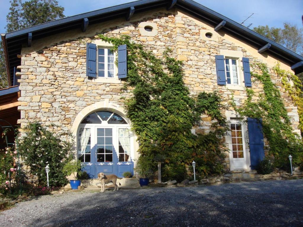 Kamienny dom z dwoma psami siedzącymi przed nim w obiekcie Chambres d'Hôtes Gelous w mieście Bidache