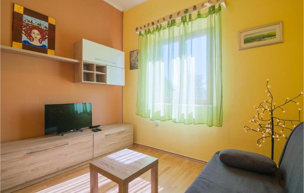 Televízia a/alebo spoločenská miestnosť v ubytovaní Holiday Home Omiska I