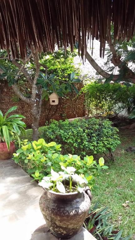 Zahrada ubytování Villa Fortuna Malindi