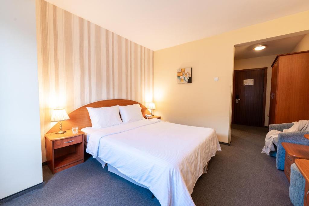 Hotel Sinaia - Resim 30