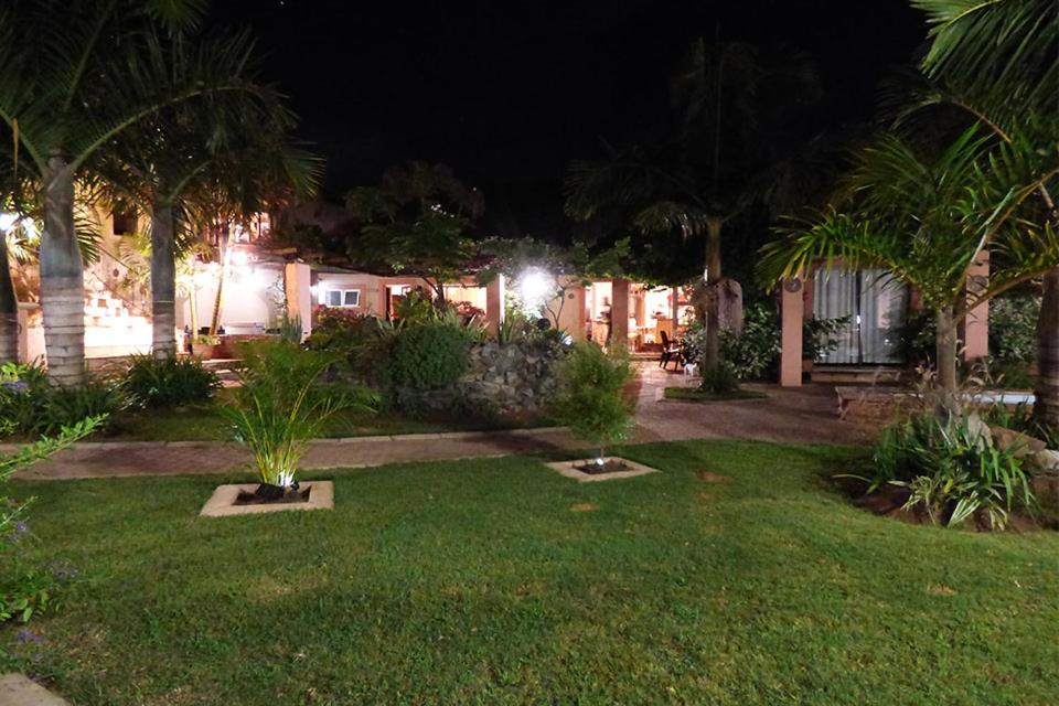 un patio de noche con palmeras y luces en Stephan's Guest House, en Port Shepstone