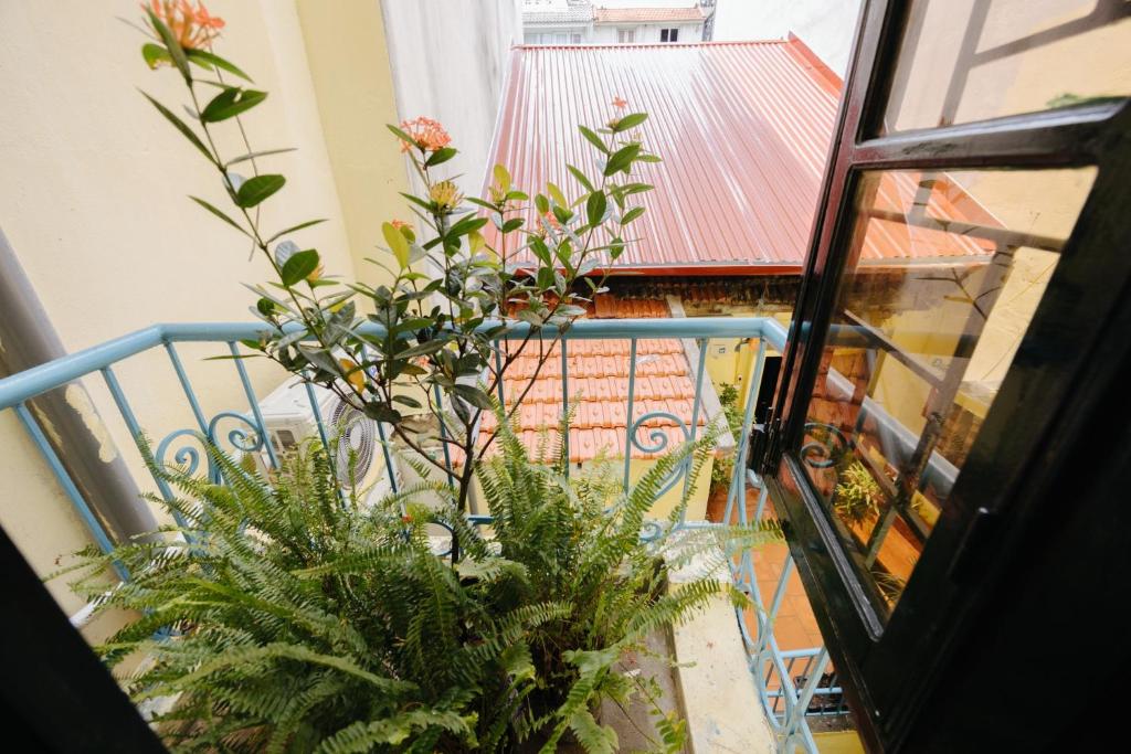 Balkón nebo terasa v ubytování Homestay and Eggcoffee Central Hanoi Old Quarter