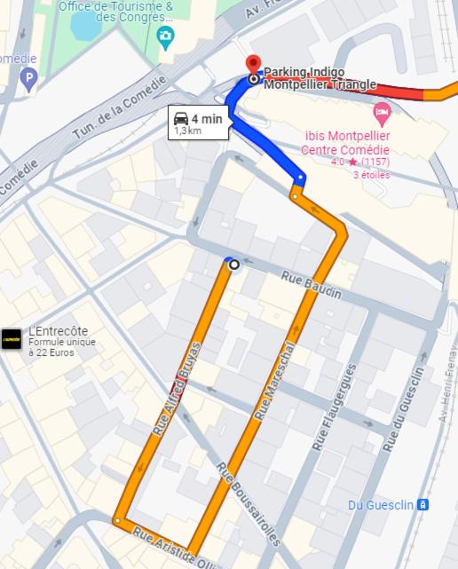 a map of the proposed upgrade to the metropolitan centre campus at Hotel d'Aragon - Place de la Comédie in Montpellier