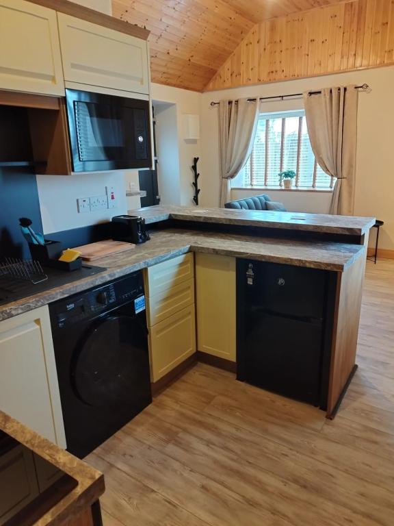 Kuhinja ili čajna kuhinja u objektu The Apartment