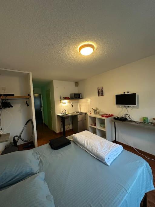 une chambre avec un grand lit et une cuisine dans l'établissement Studio N 119 Calme, fonctionnel centre pk gratuit, à Paray-le-Monial