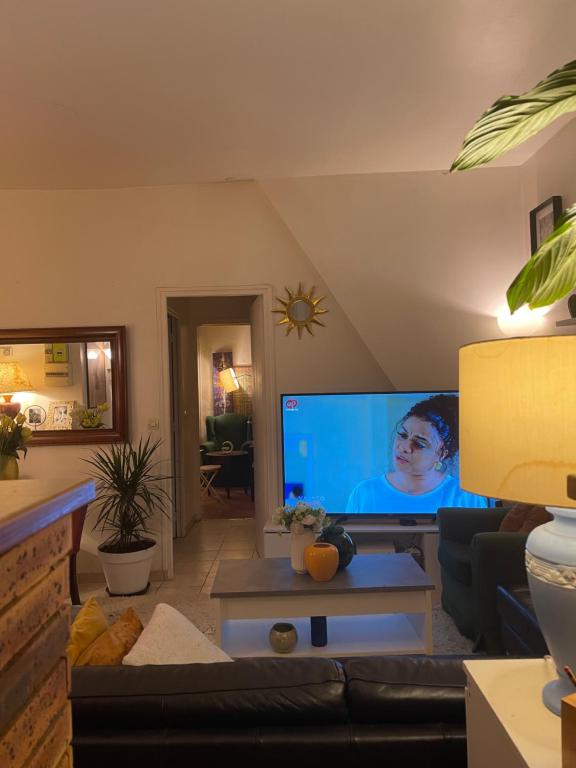 un salon avec une grande télévision à écran plat dans l'établissement Appartement meublé Paris 10e arrondissement, à Paris