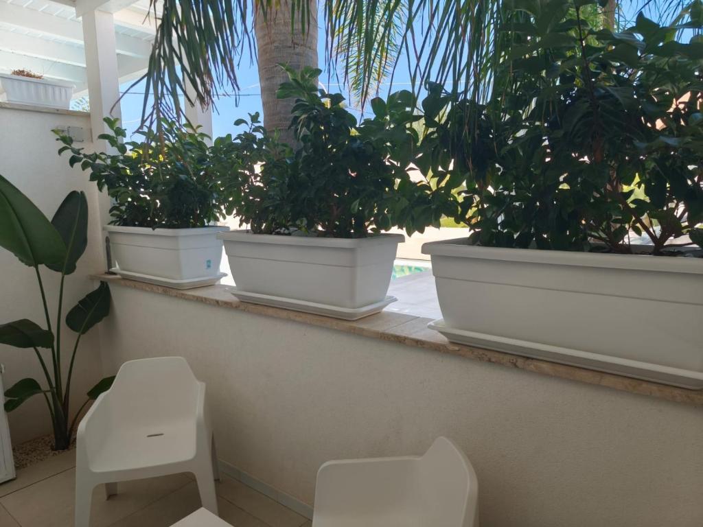 Il Moro Camere&Relax