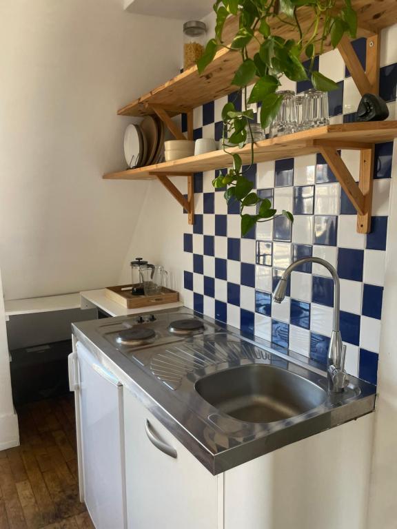 une cuisine avec un évier et un plan de travail dans l'établissement Petit appartement parisien, à Paris