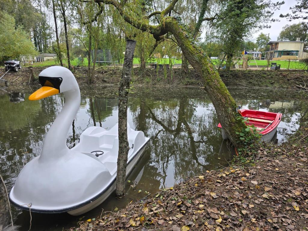 Widok na rzekę nieopodal tego domu wakacyjnego
