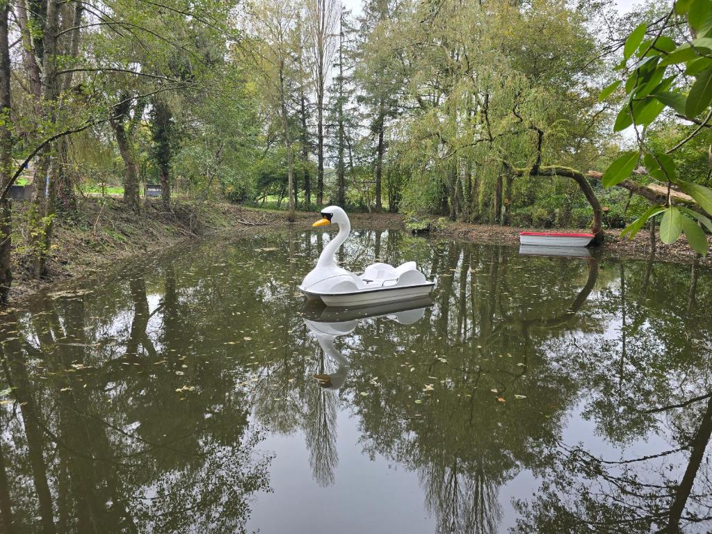Widok na rzekę nieopodal tego domu wakacyjnego