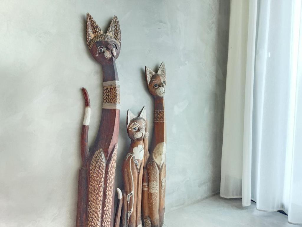 Fotografie z fotogalerie ubytování 澎湖人之島 貓宅民宿 v destinaci Magong