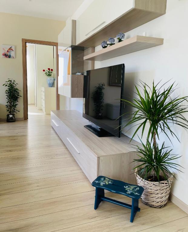 TV a/nebo společenská místnost v ubytování La Baita