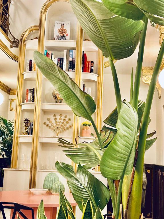 DEUXMECS Porto - Resim 40