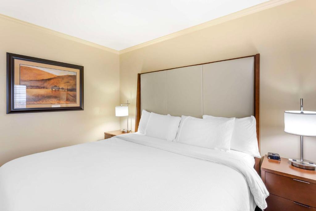 Postel nebo postele na pokoji v ubytování Best Western PLUS Cotton Tree Inn