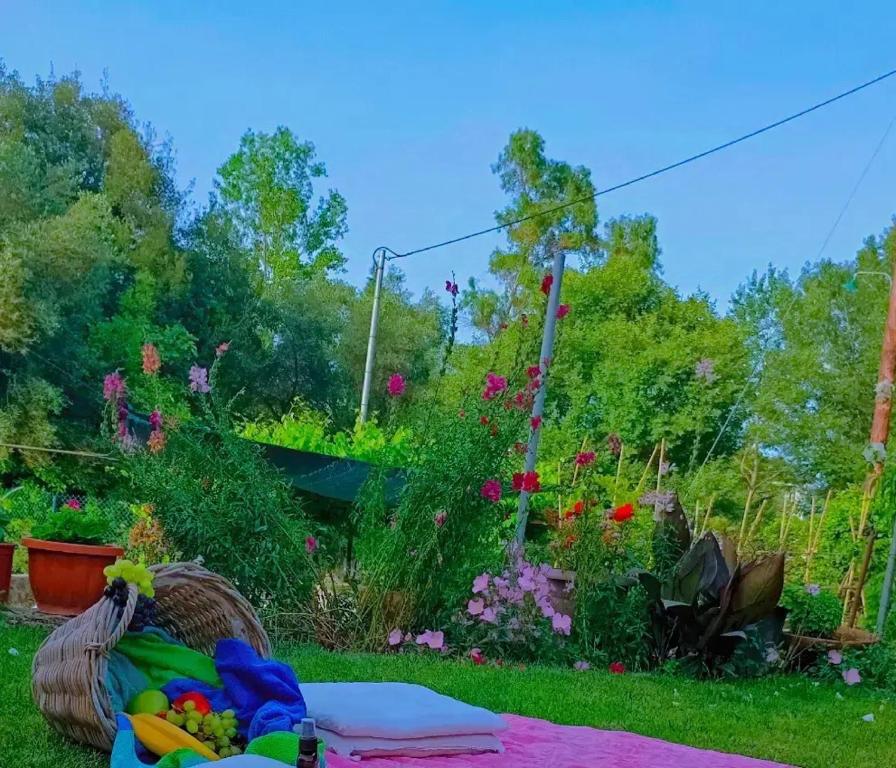 a garden with a bunch of flowers in the grass at Venetton Garden House Corfu in Gouvia