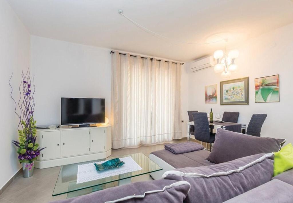 Televízia a/alebo spoločenská miestnosť v ubytovaní Apartments Ivni