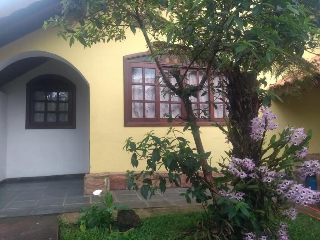 una casa con un albero e una finestra di Casa Vivenda dos Bem-te-vis a Monte Verde