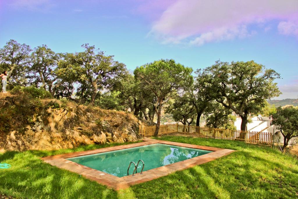 una piscina en un patio con césped y árboles en Alojamiento Rural El Lario, en Alcalá de los Gazules