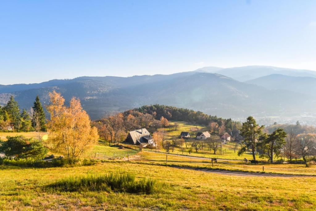 Maison de charme Haslach 300m2 Grand séjour 15 personnes - Belles vues panoramiques – photo 55