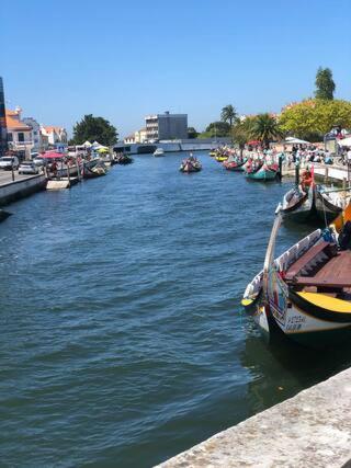 Výhled na řeku, která protéká v blízkosti apartmánu