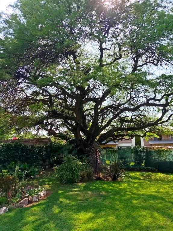 Zahrada ubytování Casa Los Algarrobos