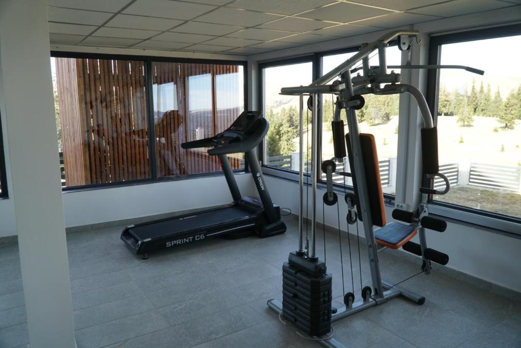 Palestra o centro fitness di Alpine Blu - Horezu - Varful lui Roman - Sauna, Hot Tub & Gym