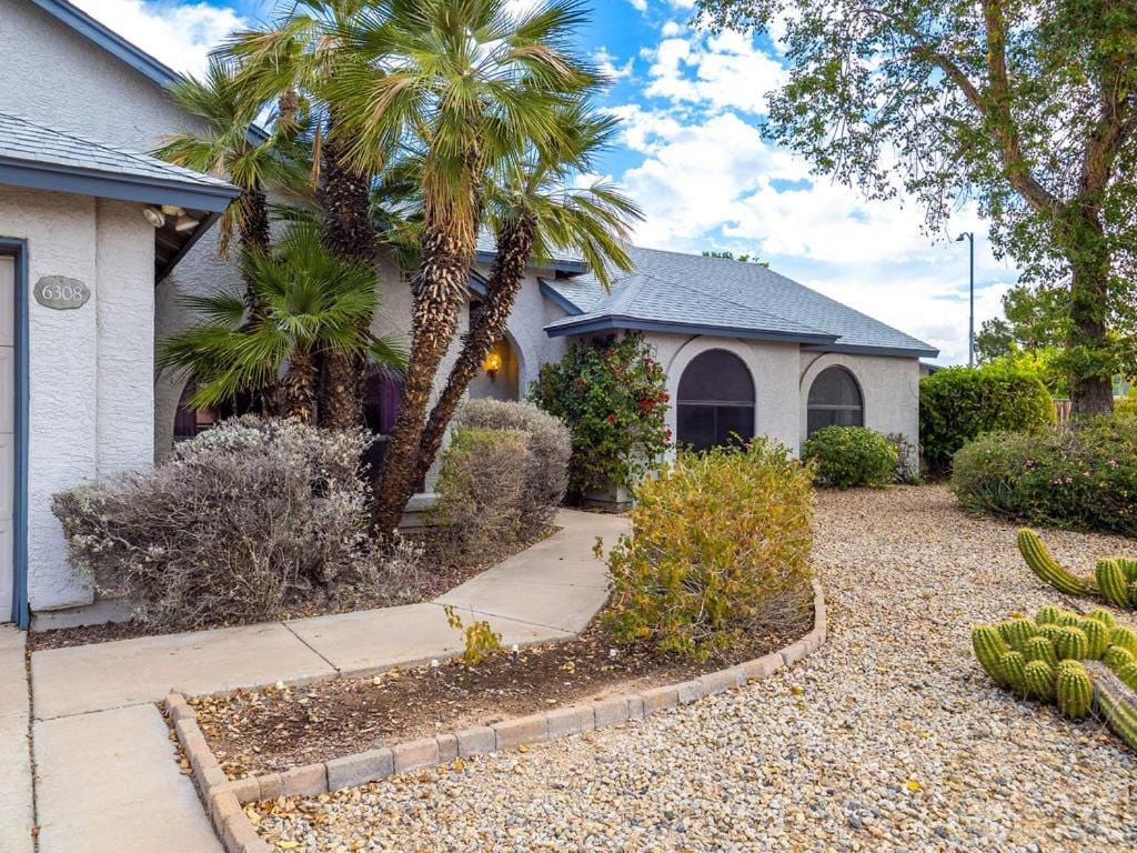 a house with a palm tree and a driveway at Royale Living in the Heart of Phoenix in Glendale