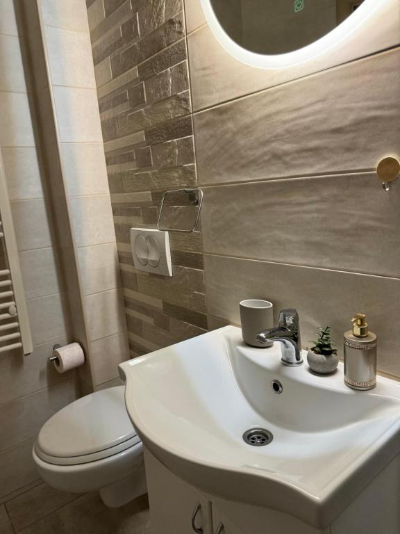 Koupelna v ubytování Apartman Petrovic