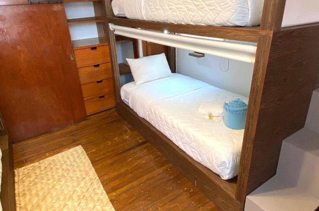 Hostal Casa Fungi - Bed In 4-Bed Mixed Dormitory Room