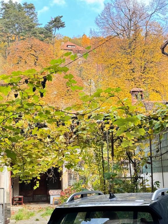 Fotografie z fotogalerie ubytování Casa Ming v destinaci Brašov