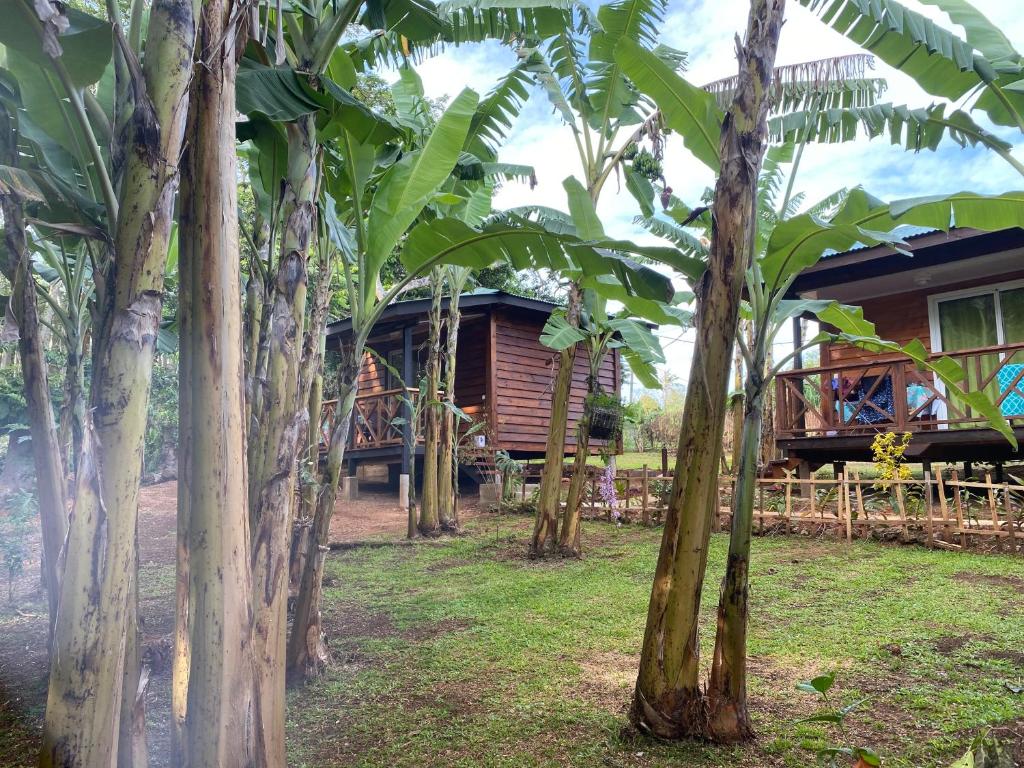 Vườn quanh Fare Tamaruorai