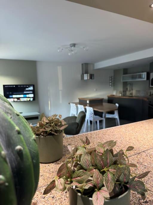 une cuisine avec deux plantes en pot sur un comptoir dans l'établissement L appart, à Brest