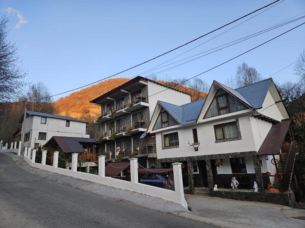 una grande casa bianca sul lato di una strada di Casa Albiony Dâmbovicioara a Dâmbovicioara